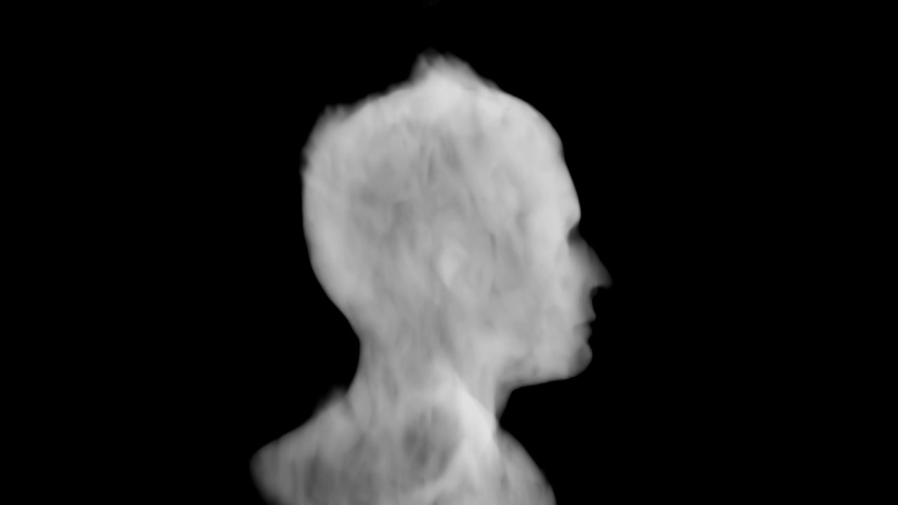 Smoke shaped as the profile of a human head